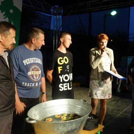 Wyświetl org. rozmiar