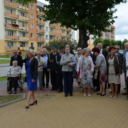 Wyświetl org. rozmiar