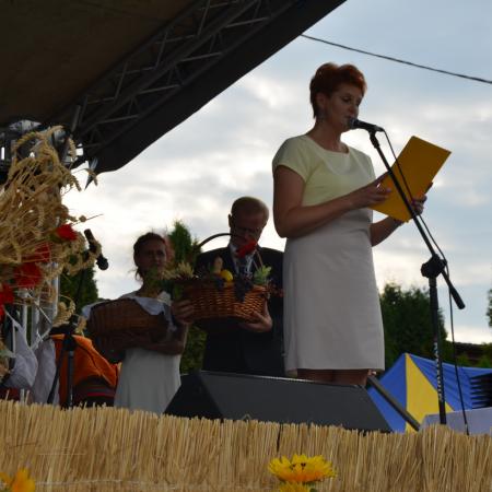 Wyświetl org. rozmiar