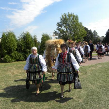 Wyświetl org. rozmiar