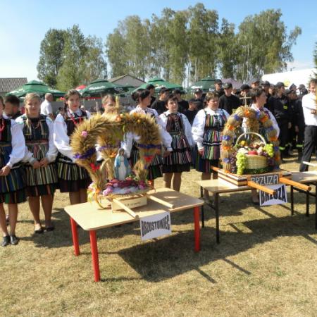 Wyświetl org. rozmiar