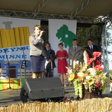 Wyświetl org. rozmiar