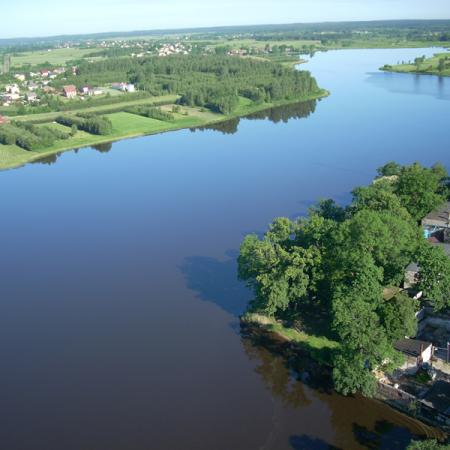 Wyświetl org. rozmiar