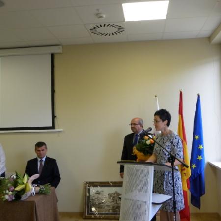 Wyświetl org. rozmiar