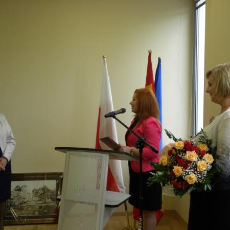 Wyświetl org. rozmiar