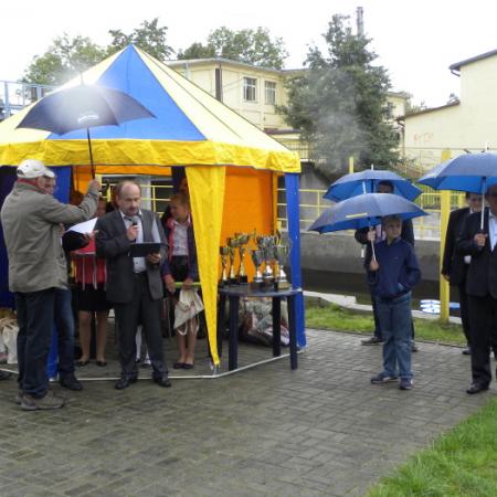 Wyświetl org. rozmiar