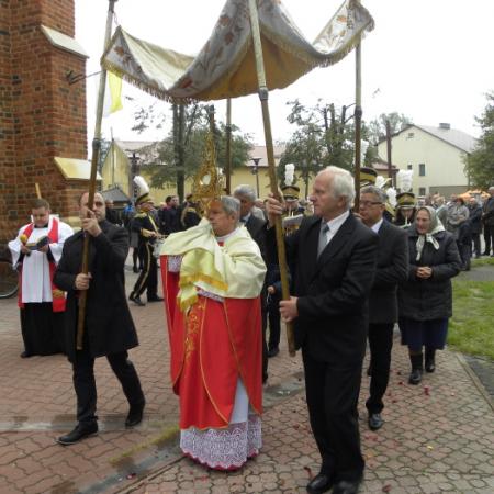 Wyświetl org. rozmiar
