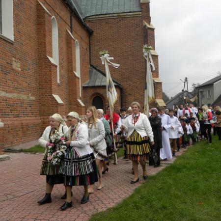 Wyświetl org. rozmiar