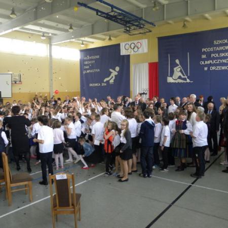 Wyświetl org. rozmiar