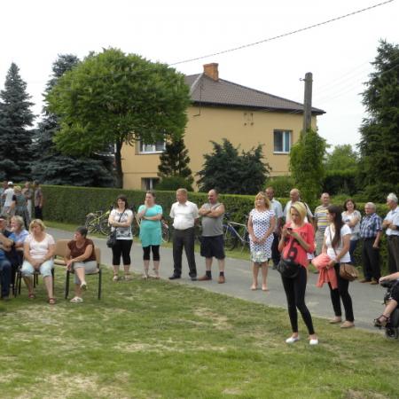 Wyświetl org. rozmiar