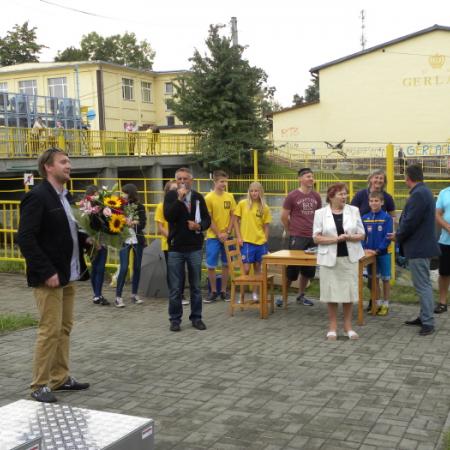 Wyświetl org. rozmiar