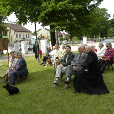 Wyświetl org. rozmiar